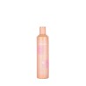 Shampoing Discipline Echosline 300 ml
