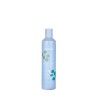 Shampoing Sebo regulateur BALANCE + Echosline 300 ml