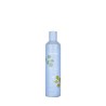 Shampoing purifiant BALANCE Echosline 300 ml