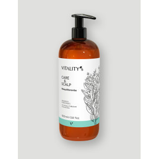 Shampoing réequilibrant purifiant Care & Scalp Vitality's 1000 ml