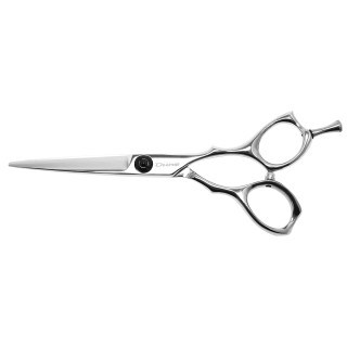 Ciseaux de coiffure Dune Ever 5