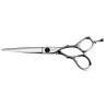 Ciseaux de coiffure Dune Ever 5.5