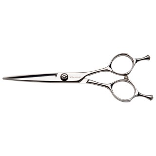 Ciseaux de coiffure Dune Aero 5.5