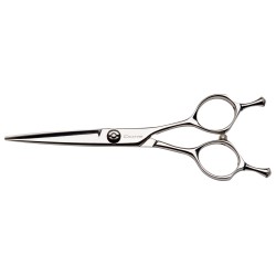 Ciseaux de coiffure Dune Aero 5.5