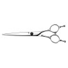 Ciseaux de coiffure Dune Aero 6.7