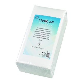 SERVIETTES JETABLES X100 QUICK DRY 4410801 P001582
