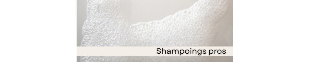 Shampooings professionnels pour salons de coiffure | Caprice Sélection